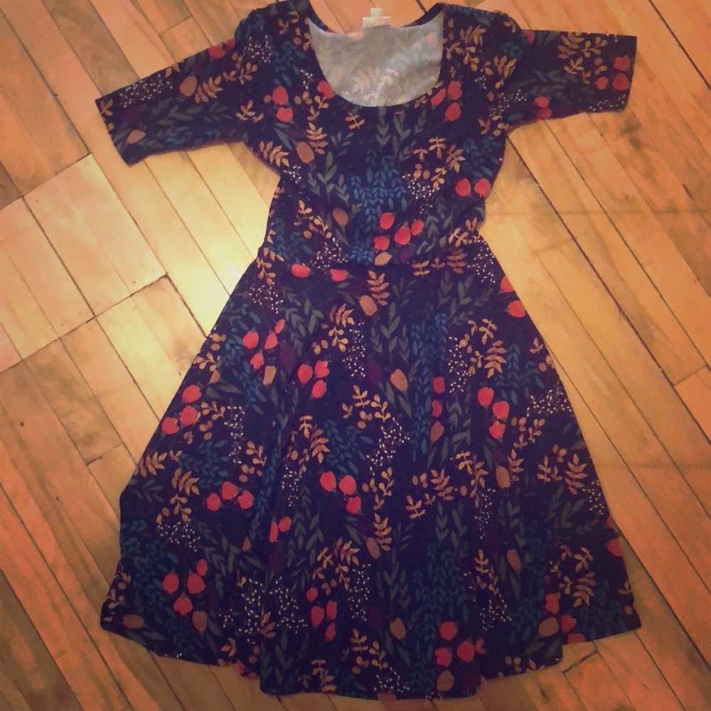 Lularoe Nicole Dress (S)